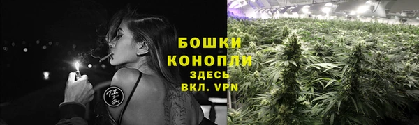 бошки Армянск