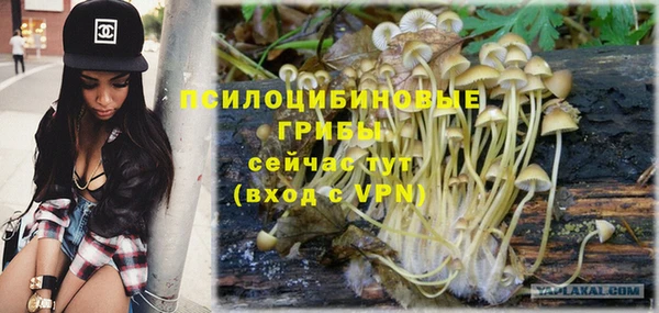 бошки Армянск