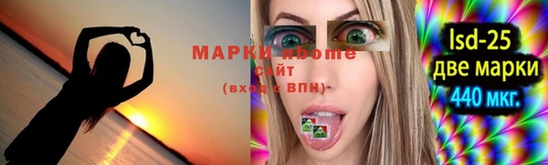 хмурый Арсеньев