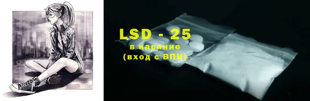 мяу мяу мука Аркадак