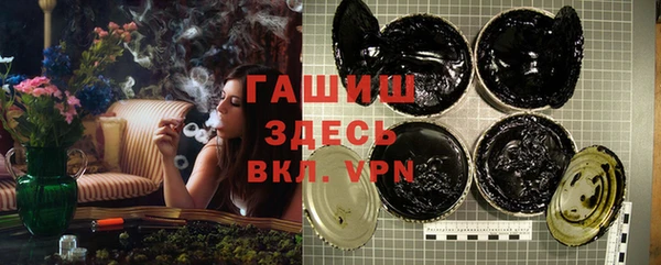 хмурый Арсеньев