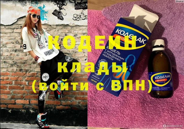 хмурый Арсеньев