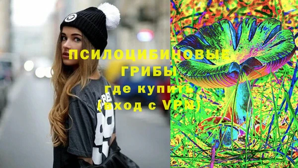 бошки Армянск