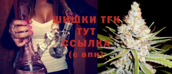 мяу мяу мука Аркадак