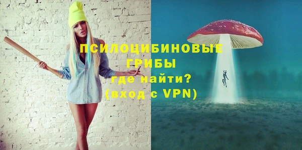 хмурый Арсеньев