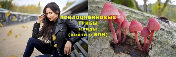 хмурый Арсеньев