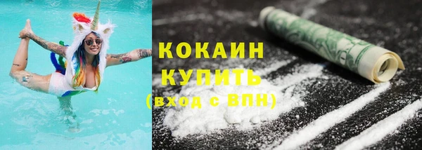 хмурый Арсеньев