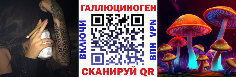 цена наркотик  Палласовка  KRAKEN маркетплейс  Псилоцибиновые грибы Cubensis 
